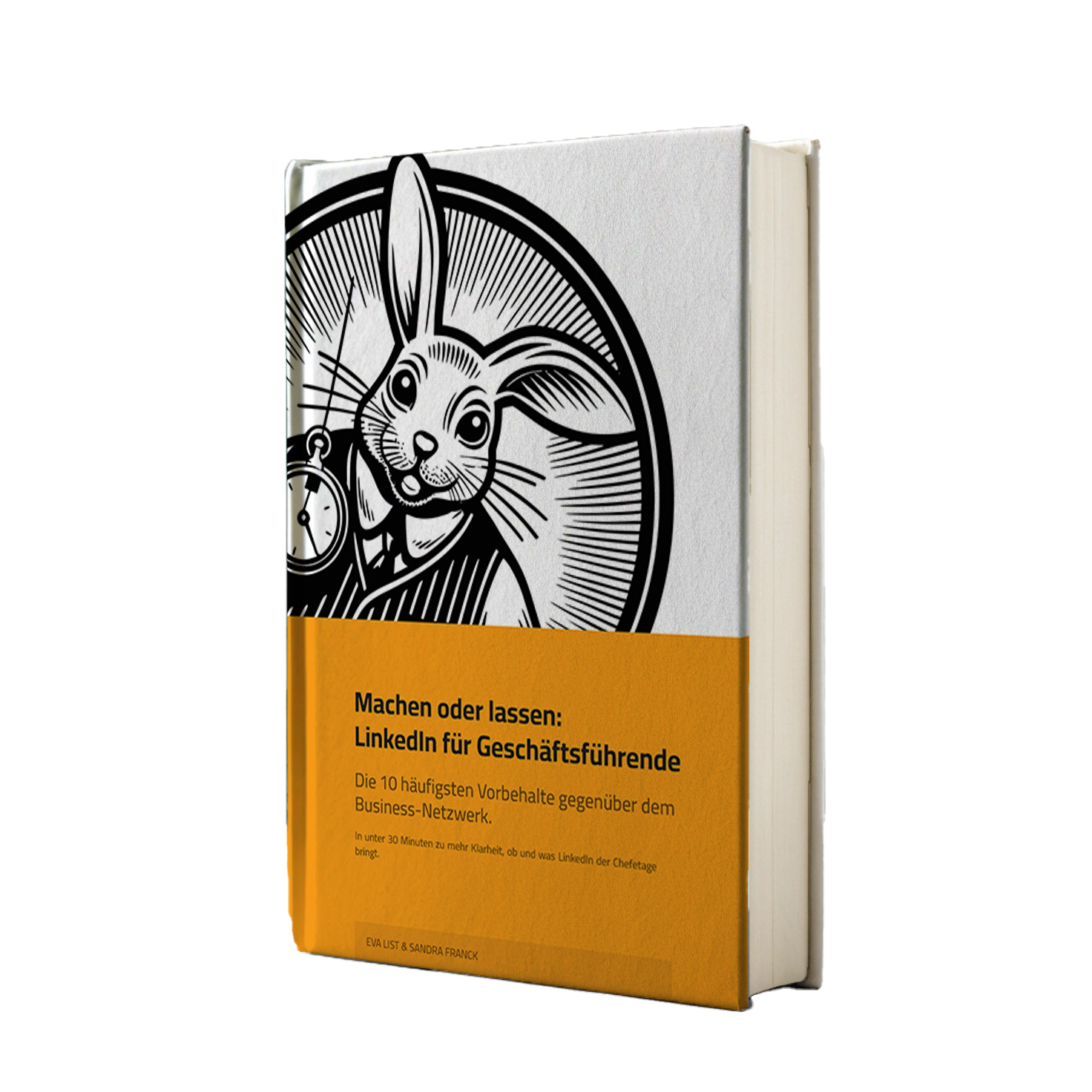 E-Book LinkedIn für Geschäftsführende Mockup