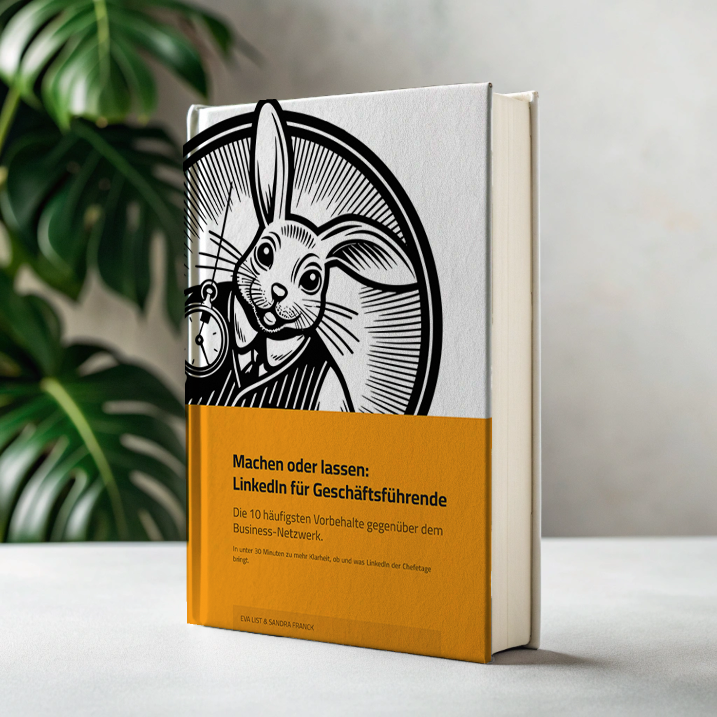LinkedIn-für-Geschäftsführende-Mokup-2 E-Book LinkedIn für Geschäftsführende Mockup